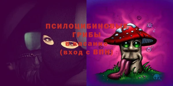 амф Новокубанск