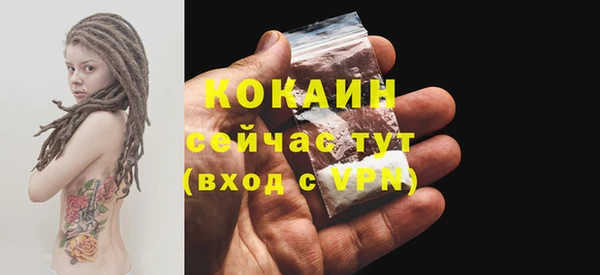 PSILOCYBIN Новодвинск