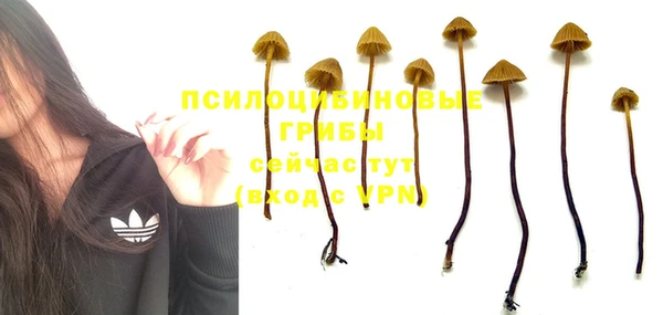 экстази Новозыбков