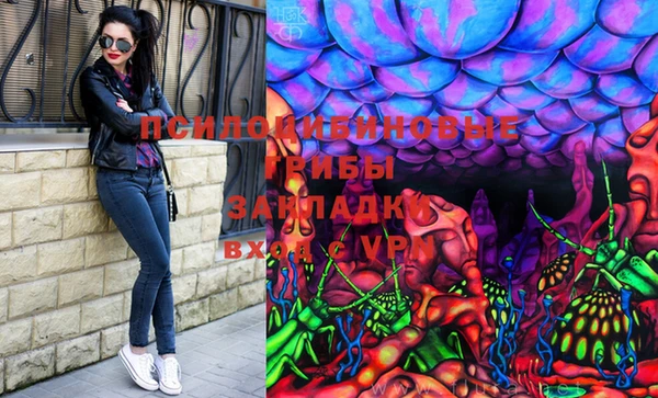 PSILOCYBIN Новодвинск