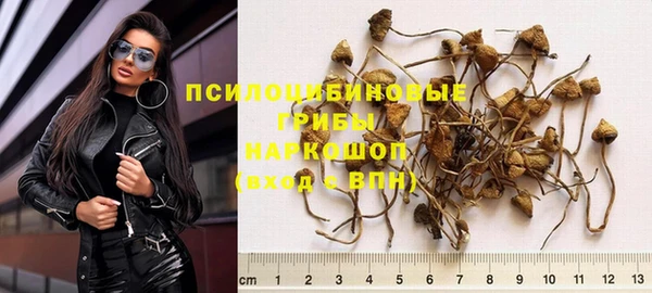 экстази Новозыбков
