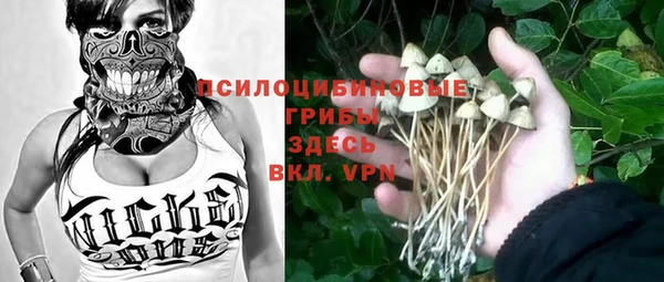 амф Новокубанск