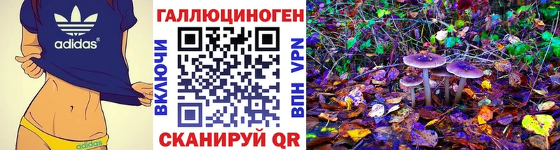 даркнет сайт Чишмы Псилоцибиновые грибы Psilocybine cubensis